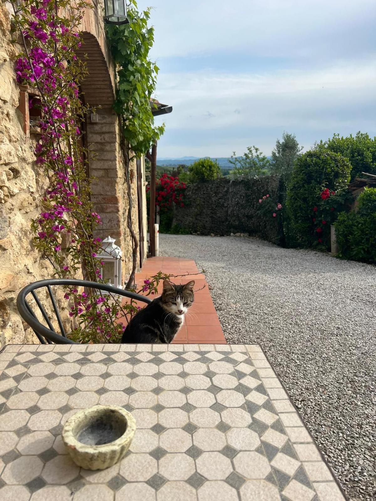 Antico Casolare Villa San Gimignano Eksteriør billede