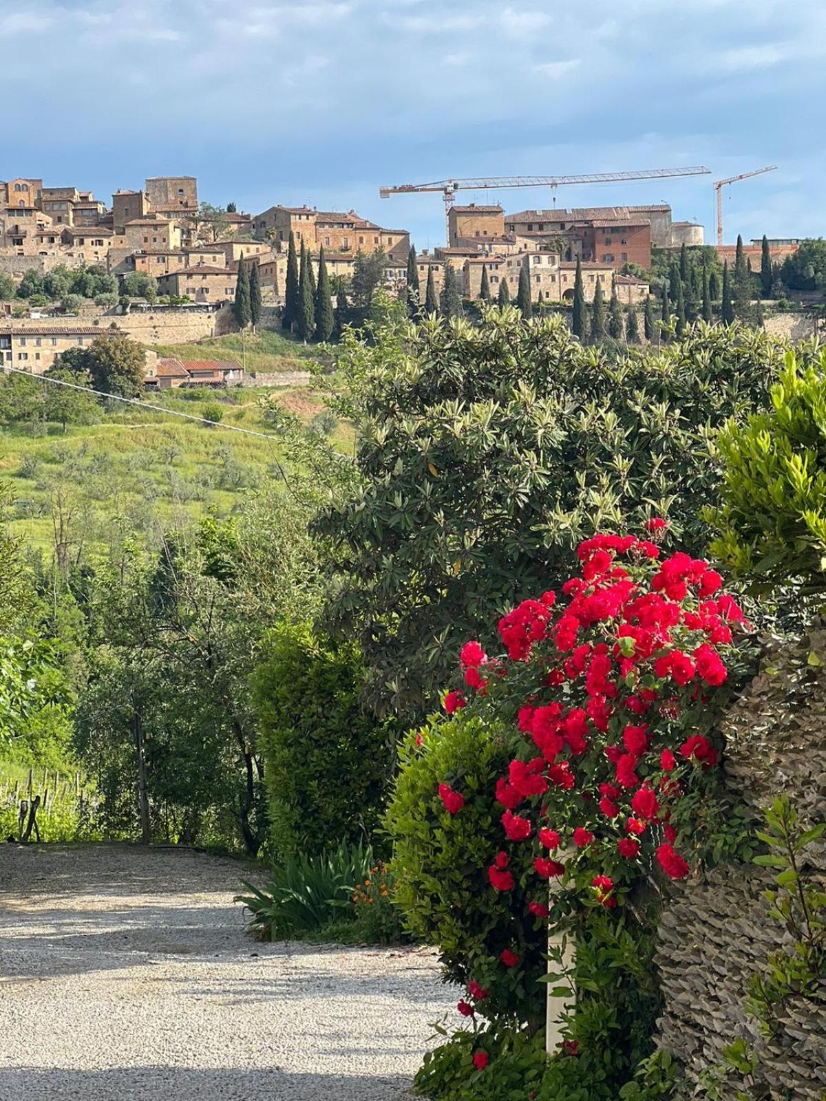 Antico Casolare Villa San Gimignano Eksteriør billede