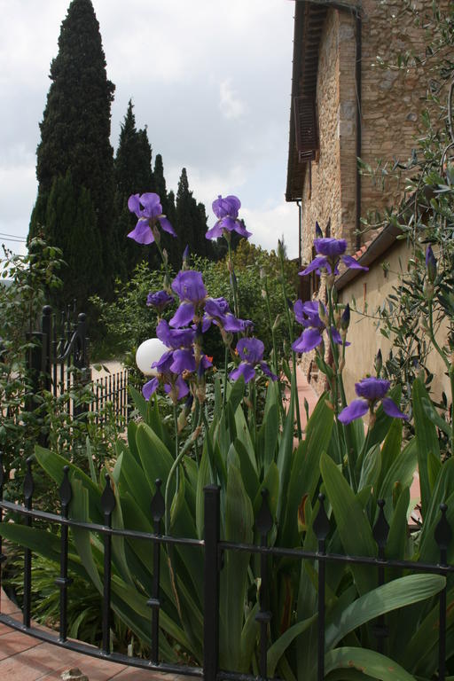 Antico Casolare Villa San Gimignano Eksteriør billede